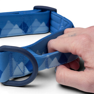 Adventure Collar - Cornflower Blue (Size Large Only)