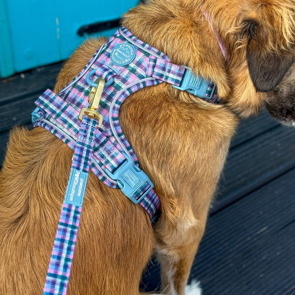 Lead - Tweed Twilight