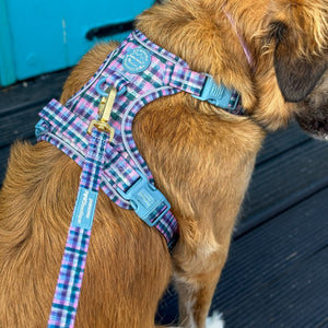 Lead - Tweed Twilight