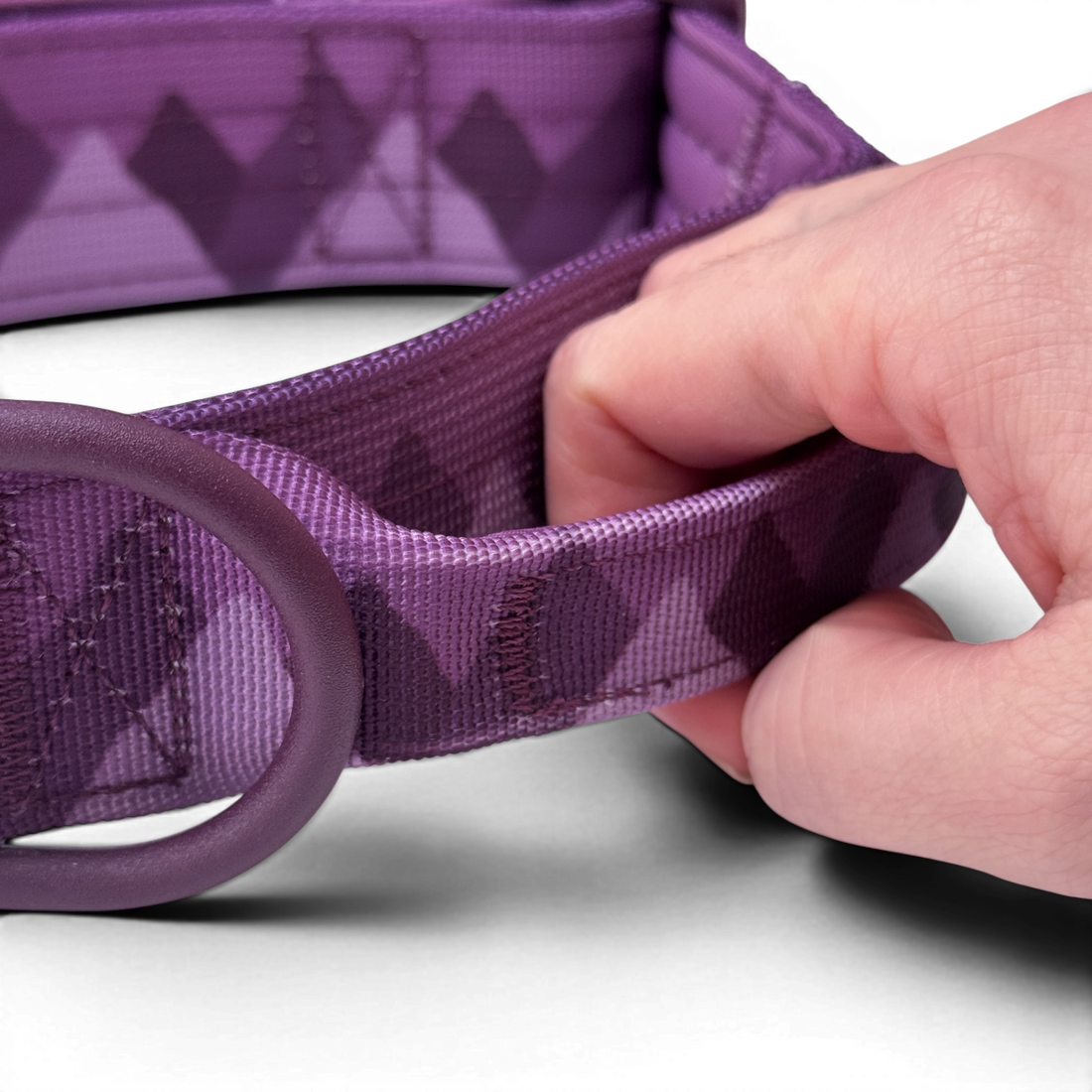 Adventure Collar - Plum (Size Large Only)