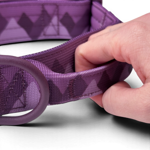 Adventure Collar - Plum (Size Large Only)