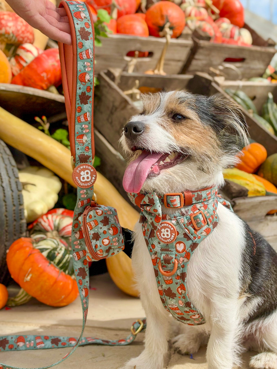 PUMPKIN SPICE-image
