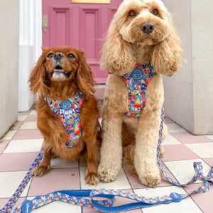 Disney© Lead - Lady + The Tramp