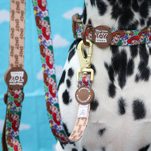 Disney© Lead - Toy Story Friends