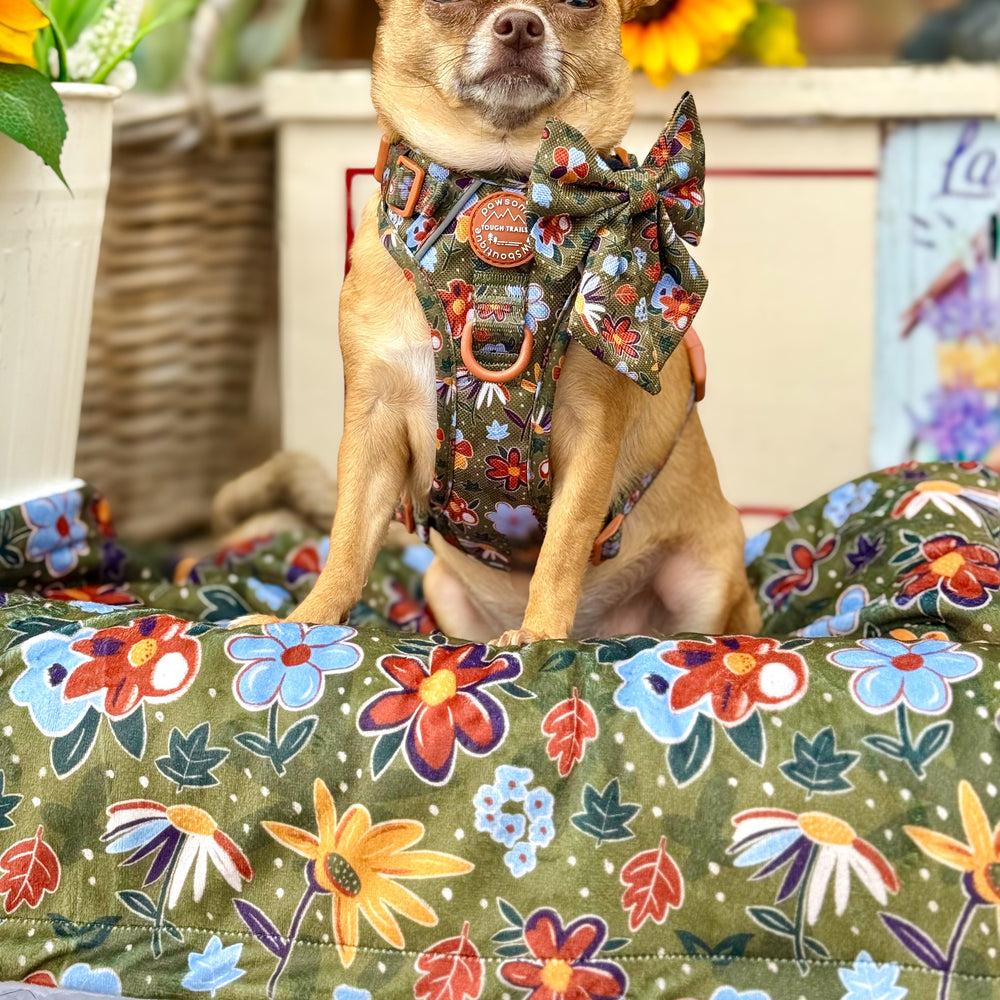 Dog Blanket - Rust & Bloom