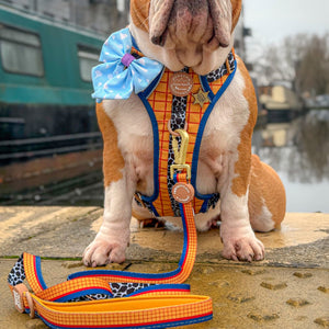 Disney© Lead - Woody