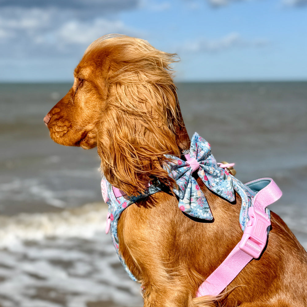 Sailor Bow - Whimsical Wildflowers