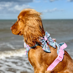 Sailor Bow - Whimsical Wildflowers