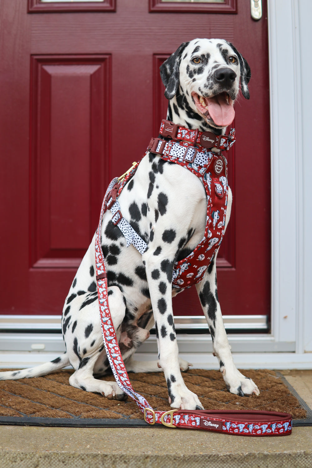 Disney© AdjustFit Lead - 101 Dalmatians
