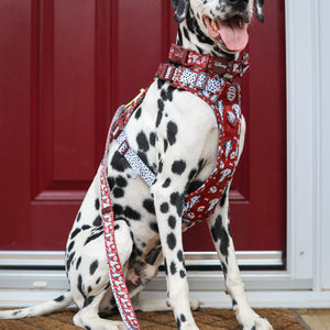 Disney© AdjustFit Lead - 101 Dalmatians