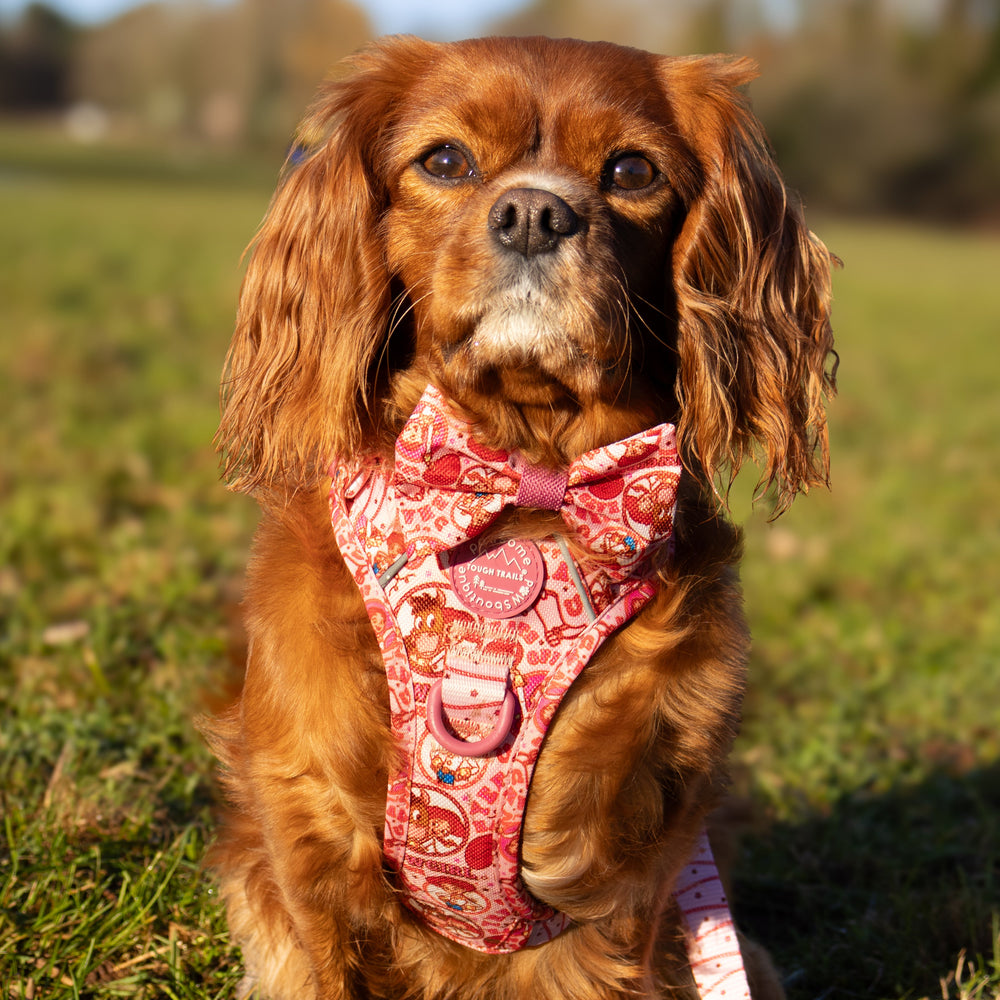 Disney© Bow Tie - Jessie