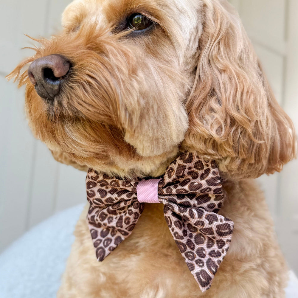 Sailor Bow - Leopard Print