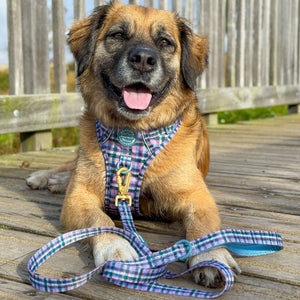 Lead - Tweed Twilight