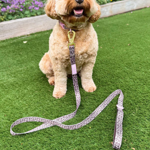 Lead - Leopard Print