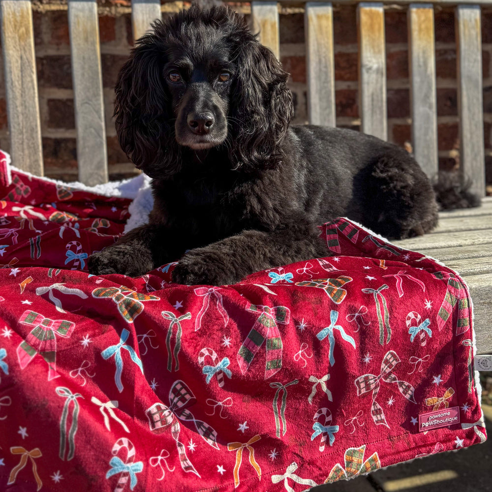 Dog Blanket - Bows Of Joy