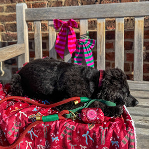 Poo Bag Holder - Bows Of Joy