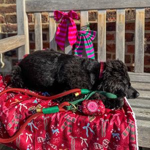 4ft Rope Lead - Red + Green