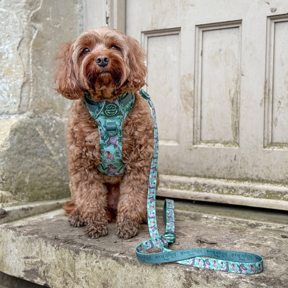 Disney© Disney©Lead - Jungle Book