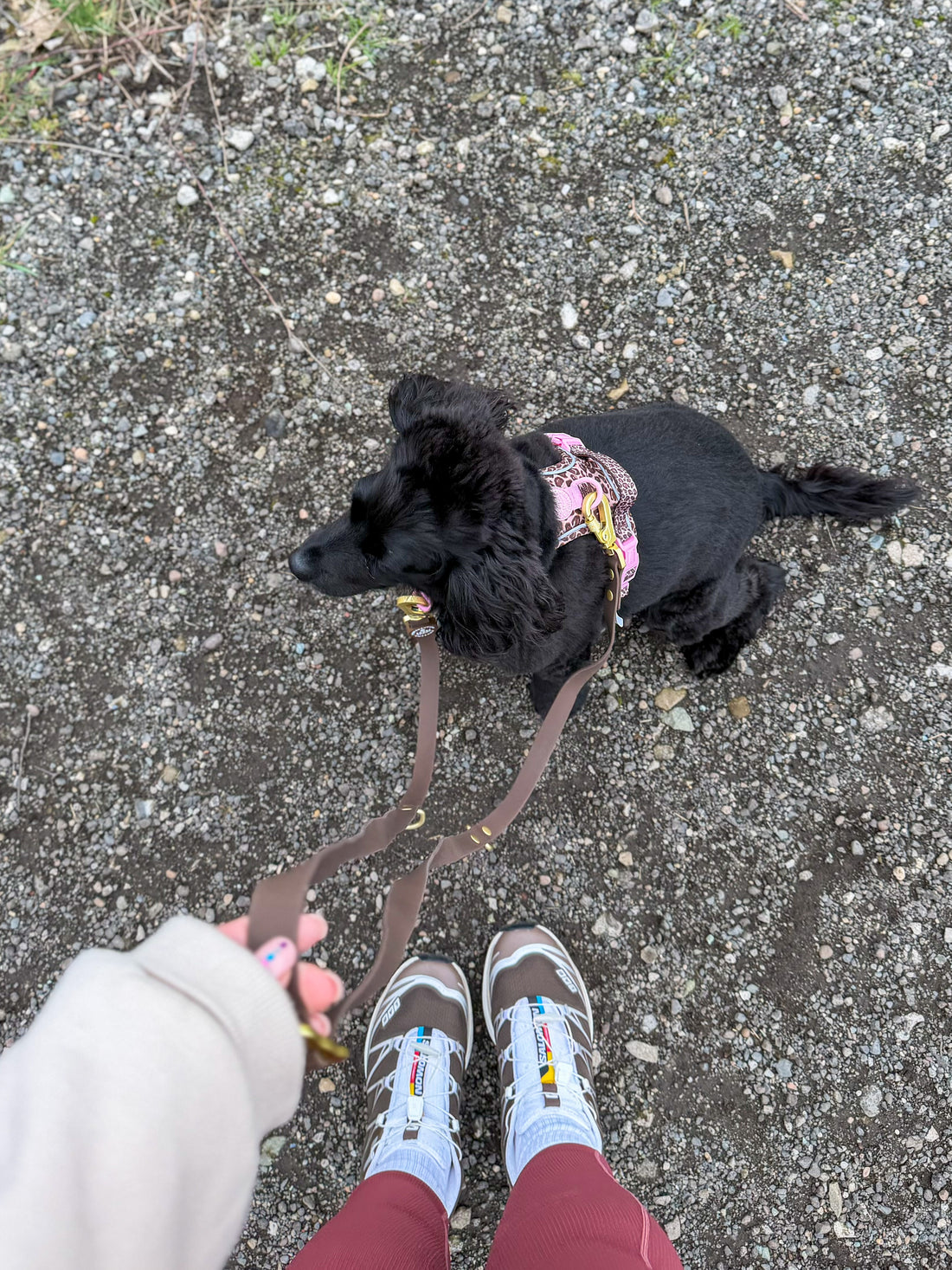 Double Ended Lead - Walkies Ready® Chocolate Brown