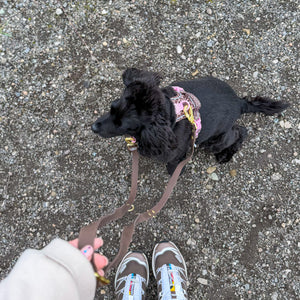 Double Ended Lead - Walkies Ready® Chocolate Brown
