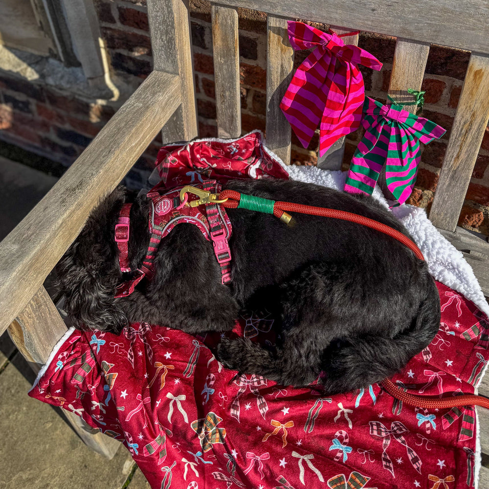 Dog Blanket - Bows Of Joy