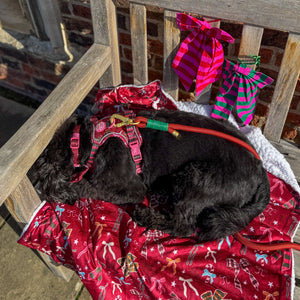 Dog Blanket - Bows Of Joy