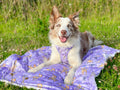 Disney© Dog Blanket - Bambi + Friends Lilac