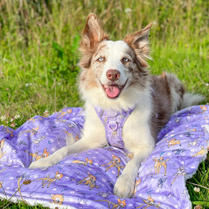 Disney© Dog Blanket - Bambi + Friends Lilac