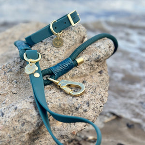 Waterproof Collar -  Jade (Gold Hardware)