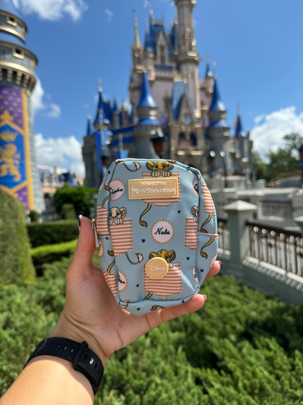 Disney© Treat + Go Bag - Lion Friends
