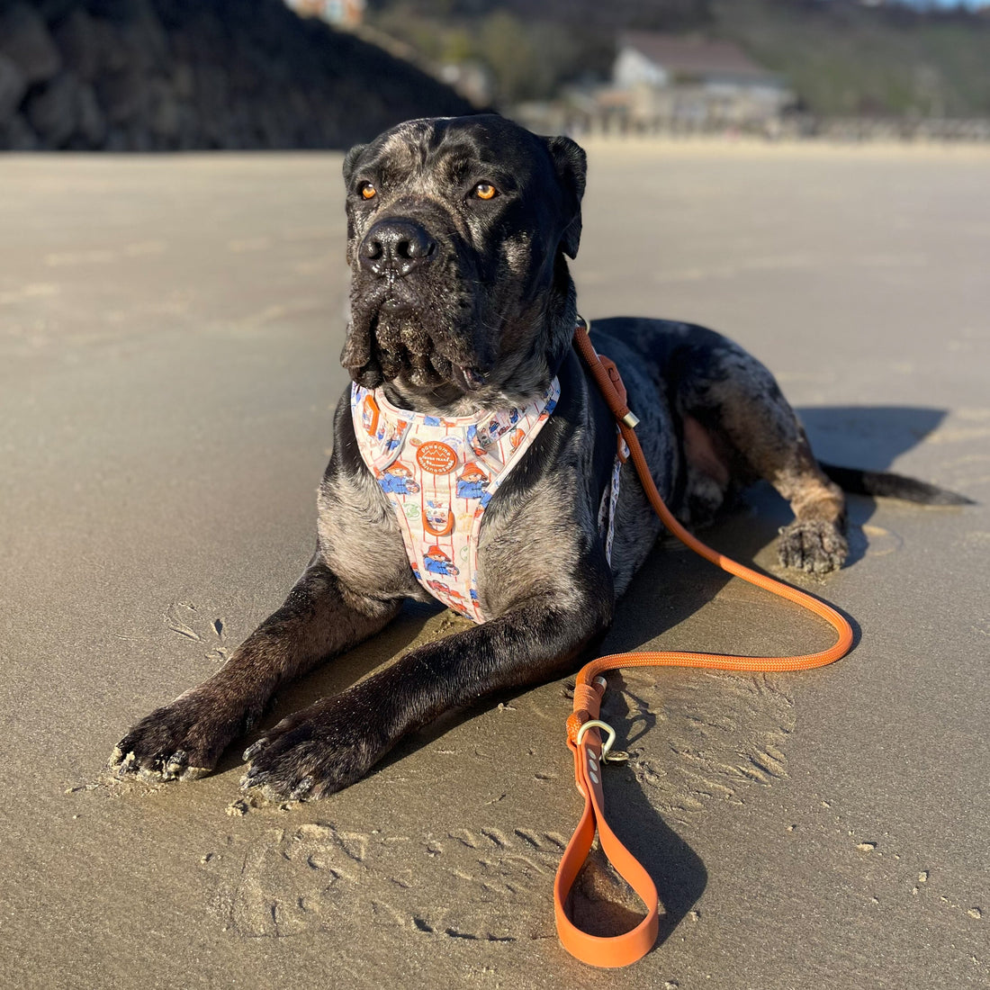 4ft Rope Lead - Rust