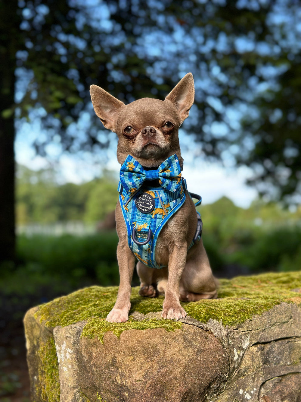 Disney© Bow Tie - Simba