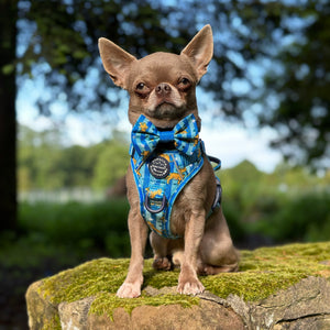 Disney© Bow Tie - Simba