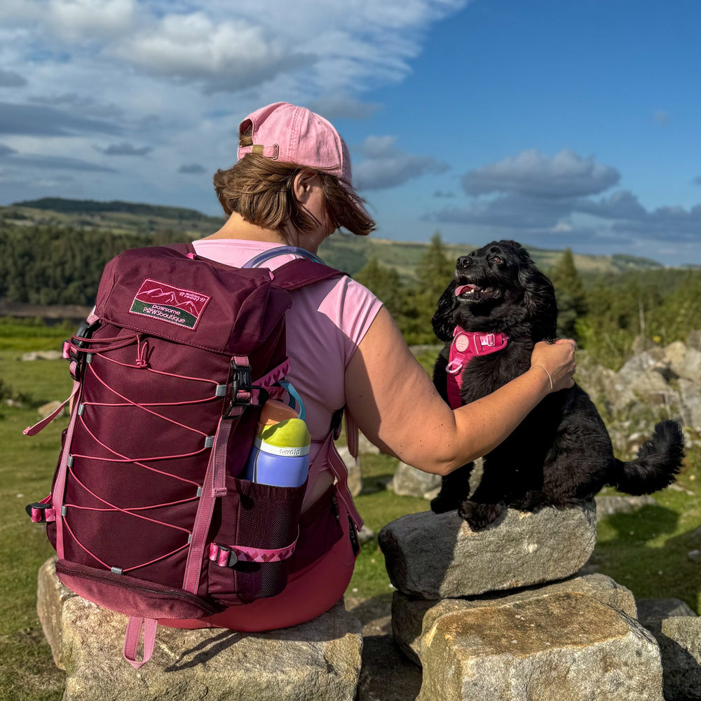 Walkies Ready® Hiking Backpack