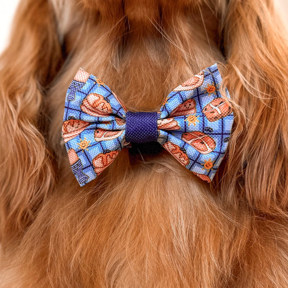 Bow Tie - Rise & Shine
