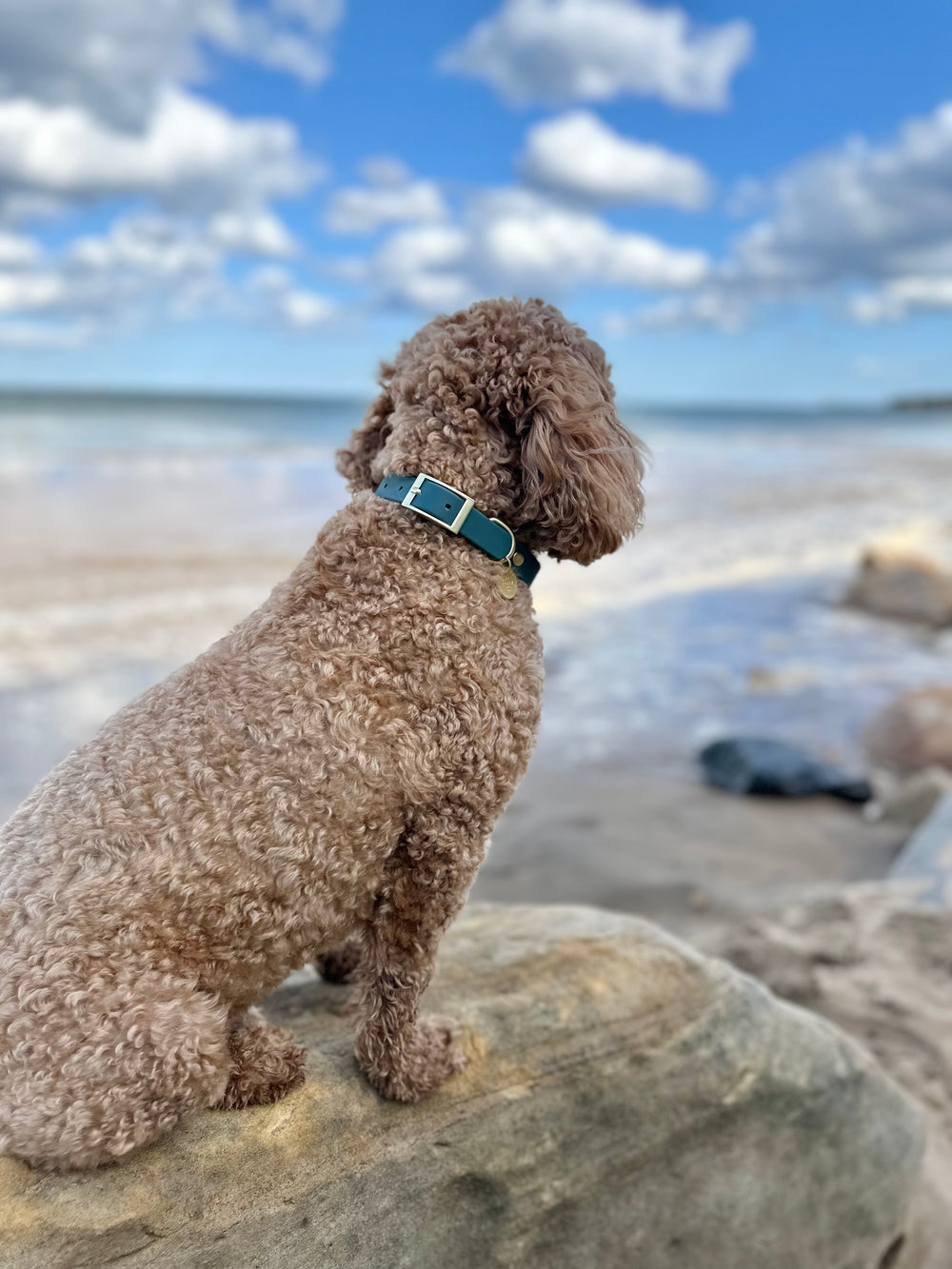 Waterproof Collar -  Jade (Gold Hardware)