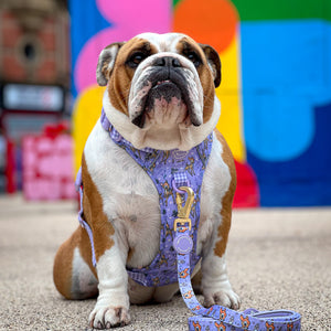 Disney© Lead - Bambi + Friends Lilac