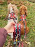 AdjustFit Lead - Walkies Ready® Snowy Mountains