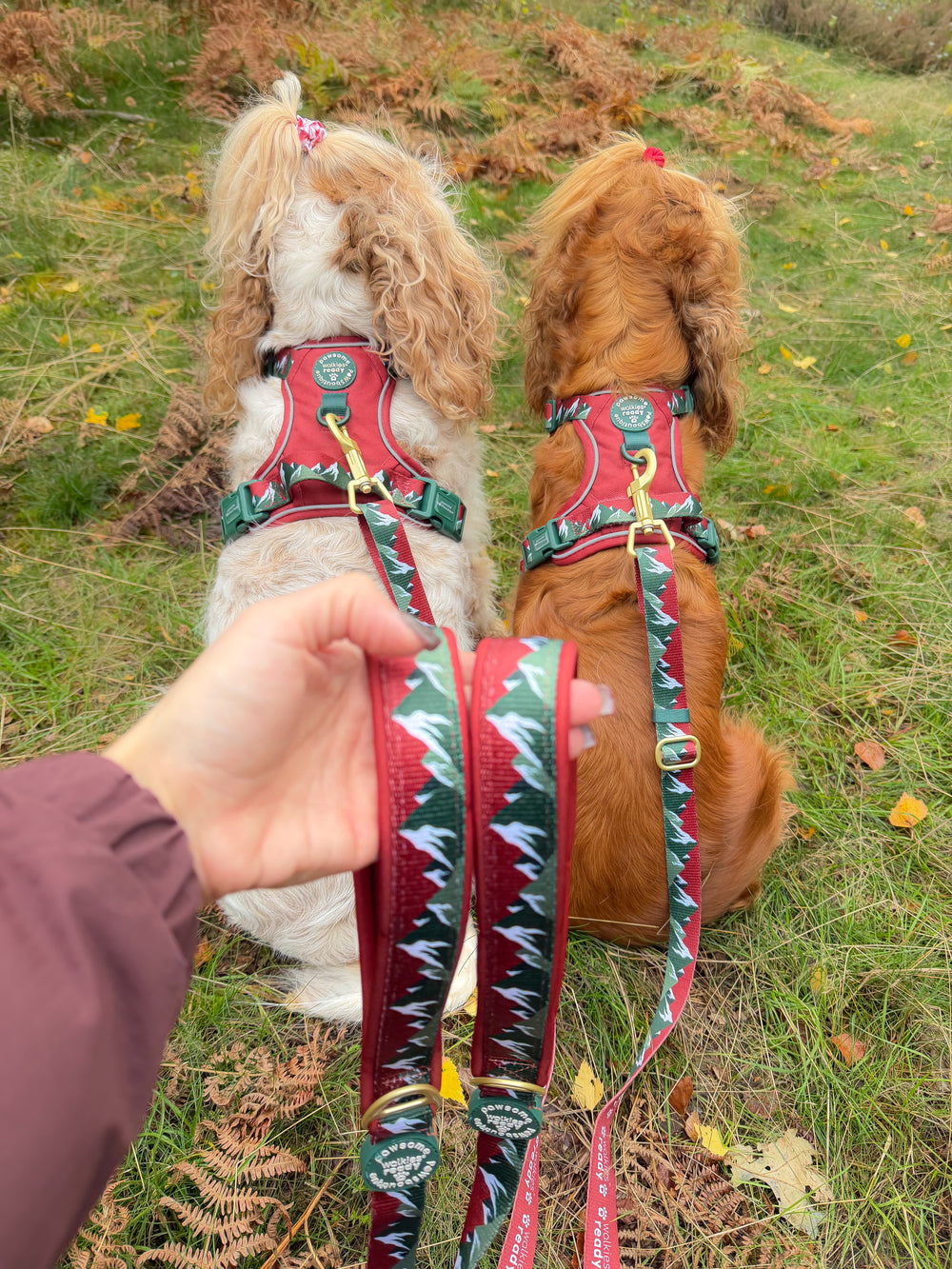 AdjustFit Lead - Walkies Ready® Snowy Mountains