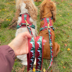 AdjustFit Lead - Walkies Ready® Snowy Mountains