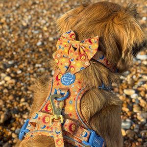 Sailor Bow - Celestial Spirit