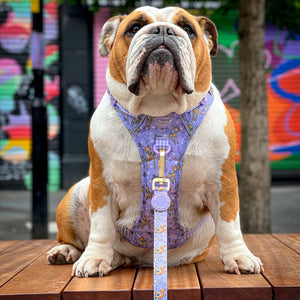 Disney© Lead - Bambi + Friends Lilac