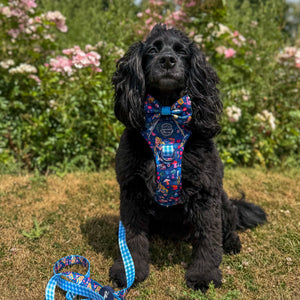 Disney© Bow Tie - Alice In Wonderland