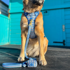 Lead - Sailor Stripes