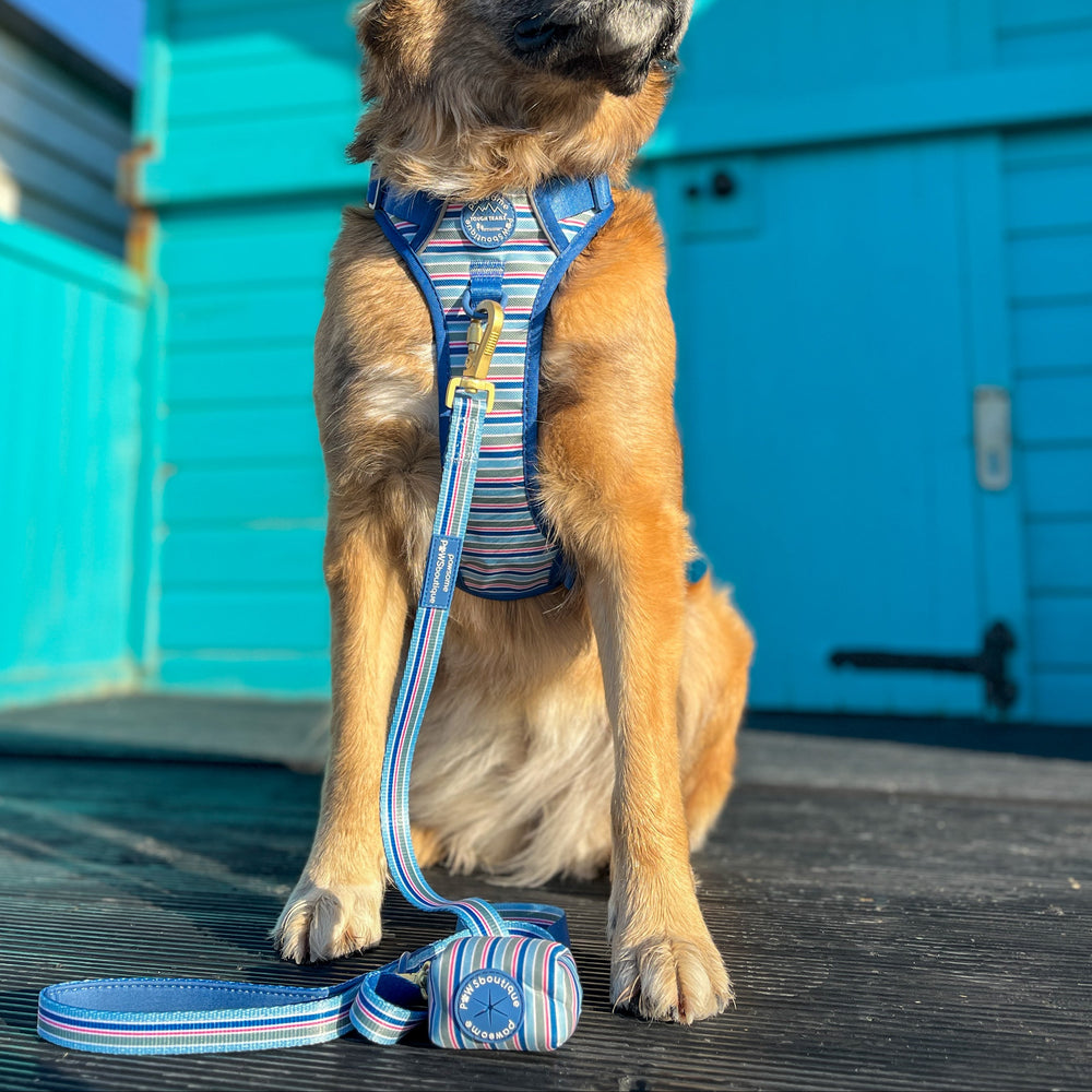 Poo Bag Holder - Sailor Stripes