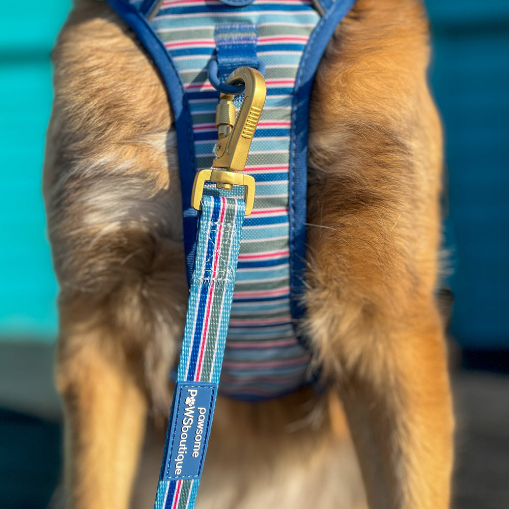 Lead - Sailor Stripes