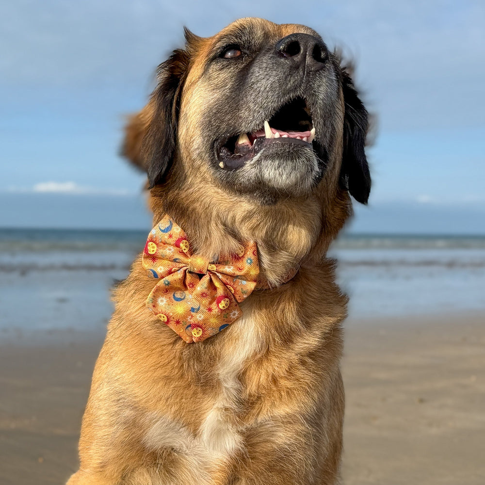 Sailor Bow - Celestial Spirit