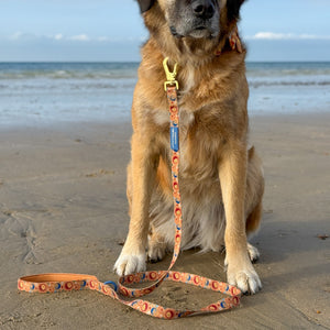 Lead - Celestial Spirit