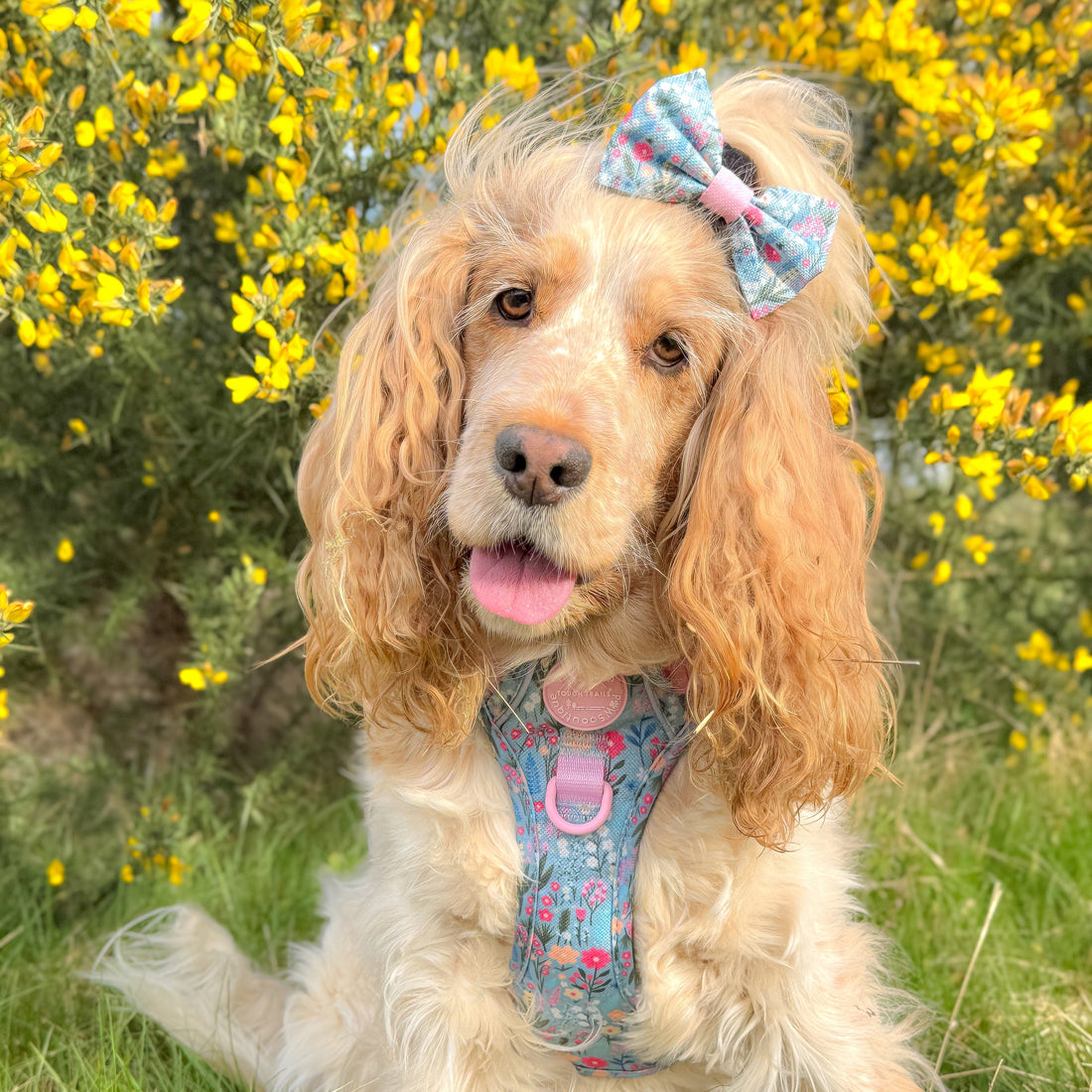 Bow Tie - Whimsical Wildflowers
