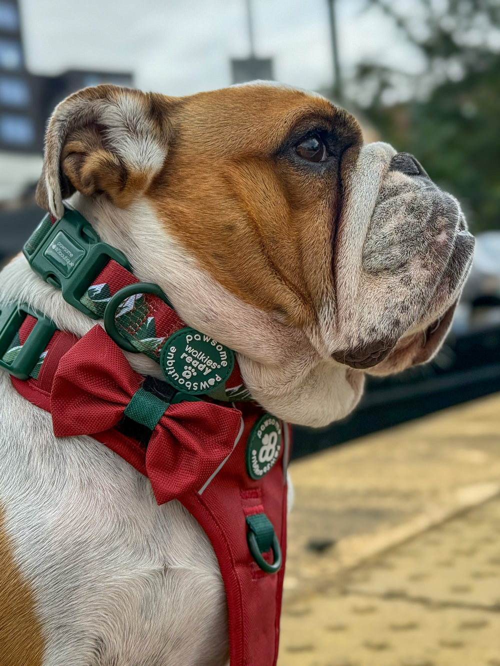 Bow Tie - Walkies Ready® - Snowy Mountains